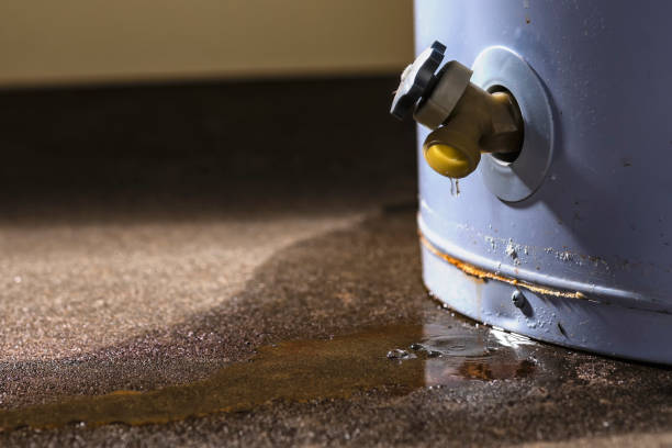 Best Ceiling water damage repair  in Breckenridge Hills, MO