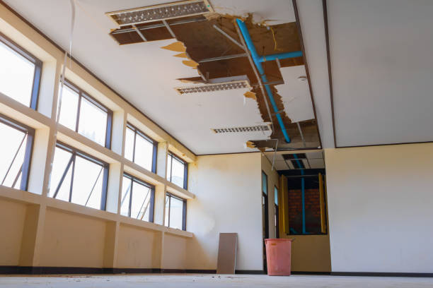 Best Mold removal after water damage  in Breckenridge Hills, MO
