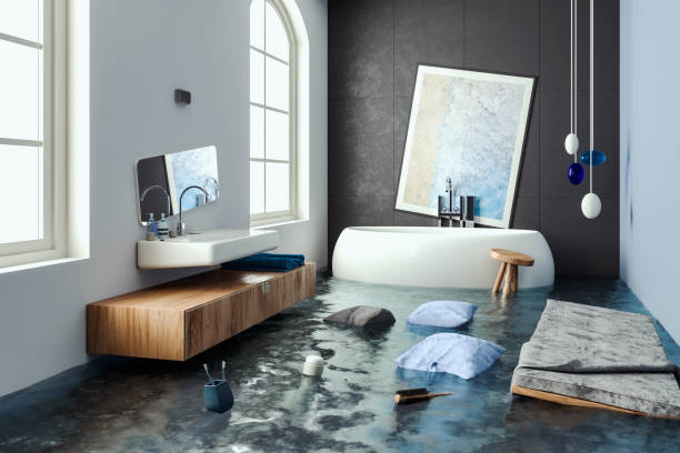 Best Commercial water damage restoration  in Breckenridge Hills, MO