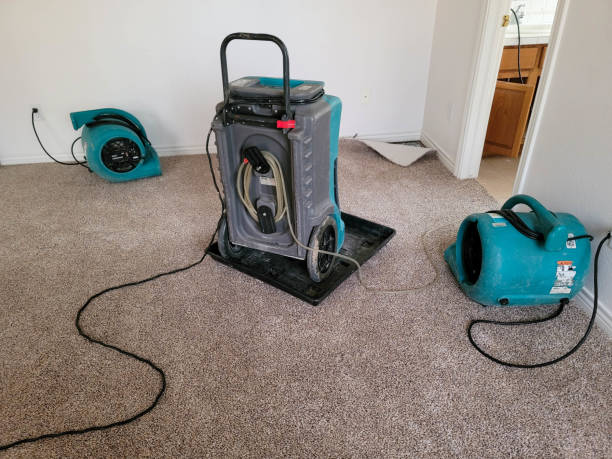 Best Carpet water damage restoration  in Breckenridge Hills, MO