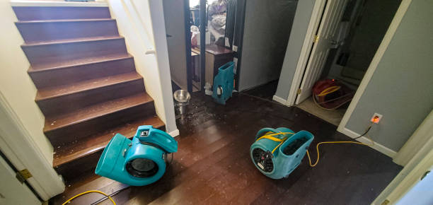 Best Residential water damage restoration  in Breckenridge Hills, MO