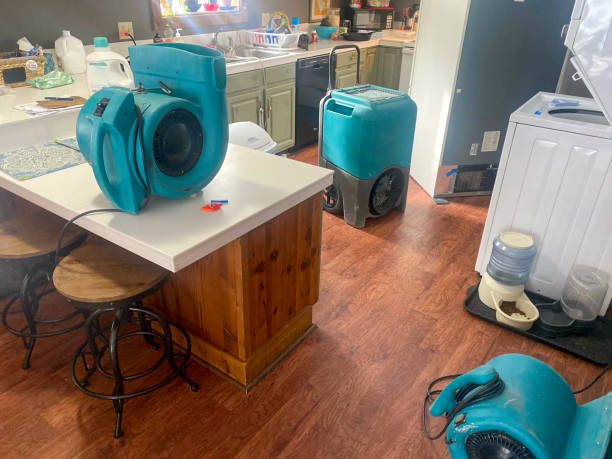 Best Professional water damage repair  in Breckenridge Hills, MO