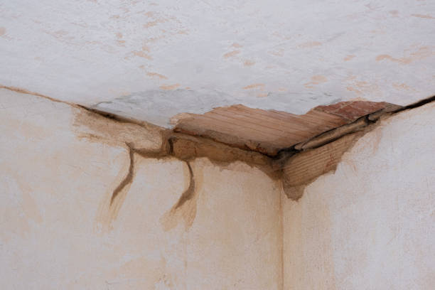 Best Emergency water damage restoration  in Breckenridge Hills, MO