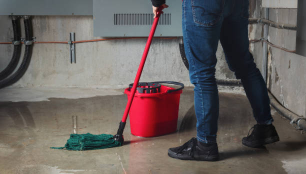 Best Fire Damage Restoration  in Breckenridge Hills, MO