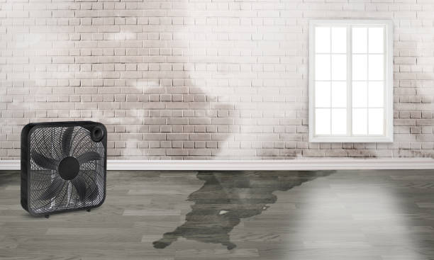 Best Commercial water damage restoration  in Breckenridge Hills, MO