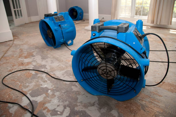 Best Water damage restoration near me  in Breckenridge Hills, MO