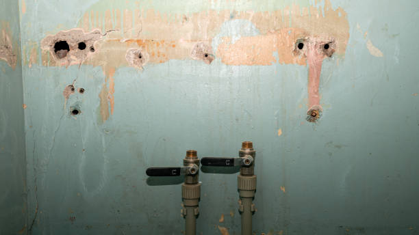 Best Professional water damage repair  in Breckenridge Hills, MO