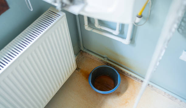 Best Sewage cleanup and water damage restoration  in Breckenridge Hills, MO