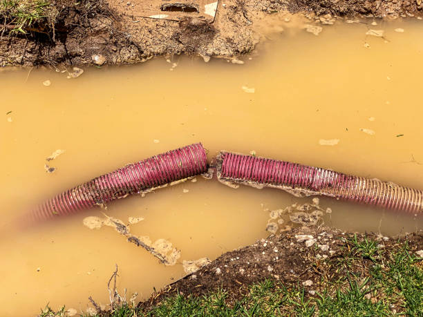 Best Residential water damage restoration  in Breckenridge Hills, MO