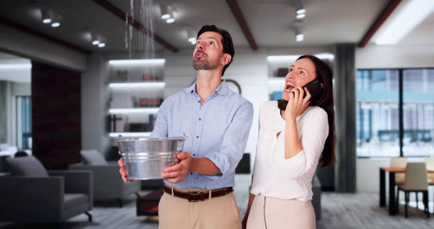 Best Flood restoration services  in Breckenridge Hills, MO